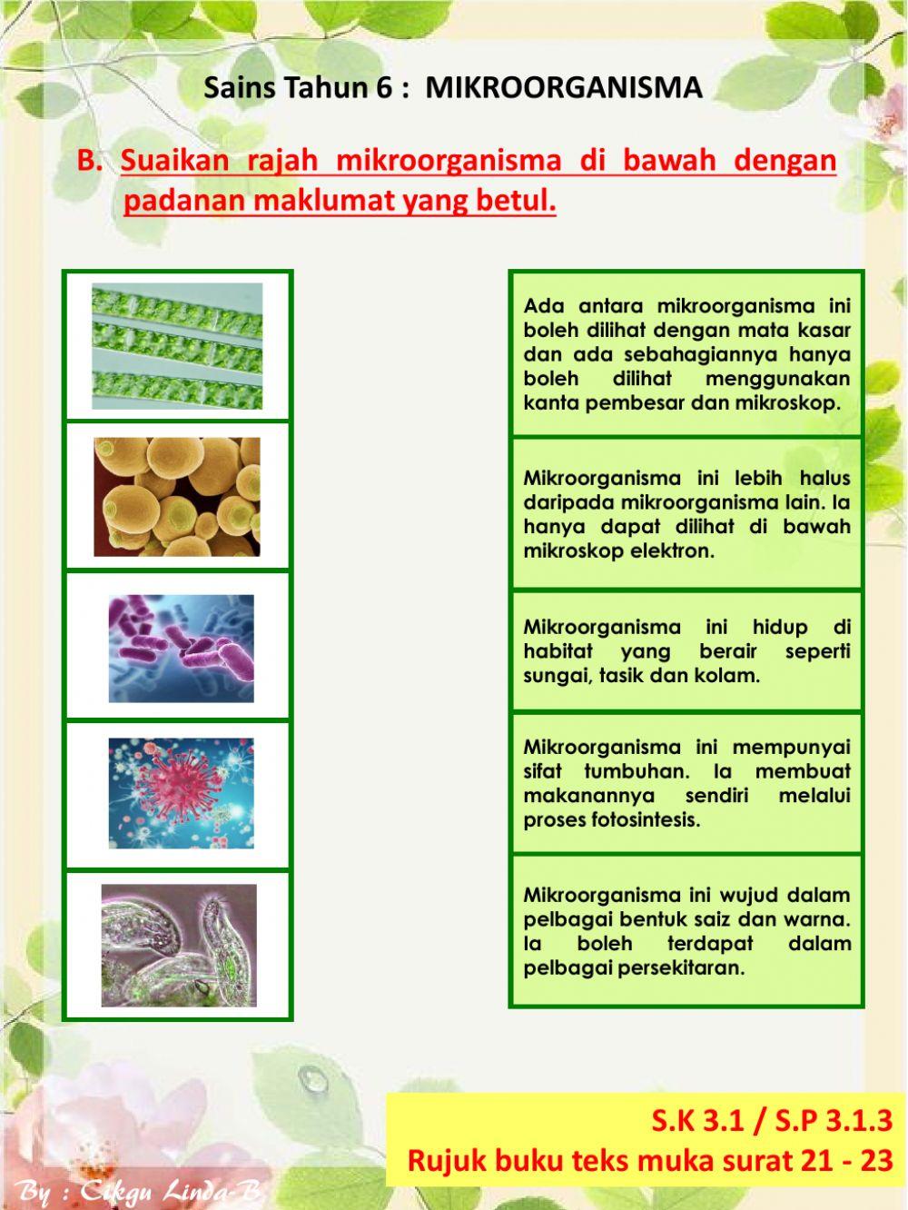 Sains Tahun 6 : Mikroorganisma