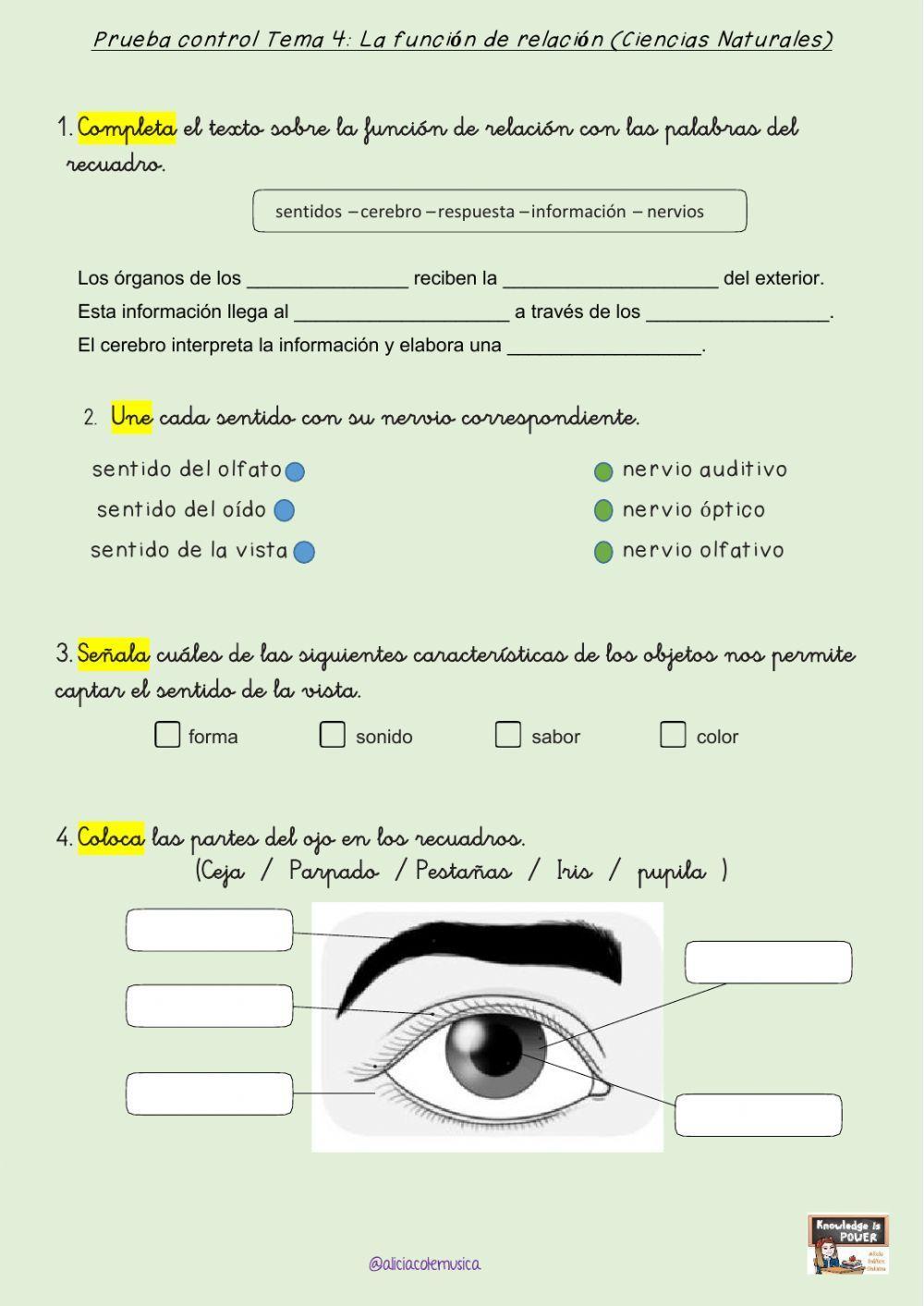 Control: La función de relación