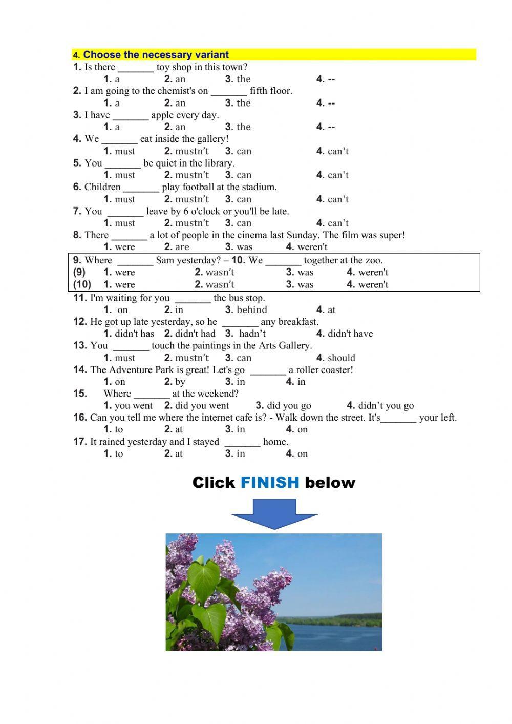 Spotlight 5 Task 5980
