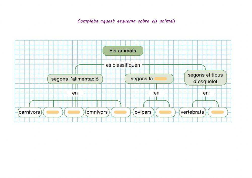 Classificació animals