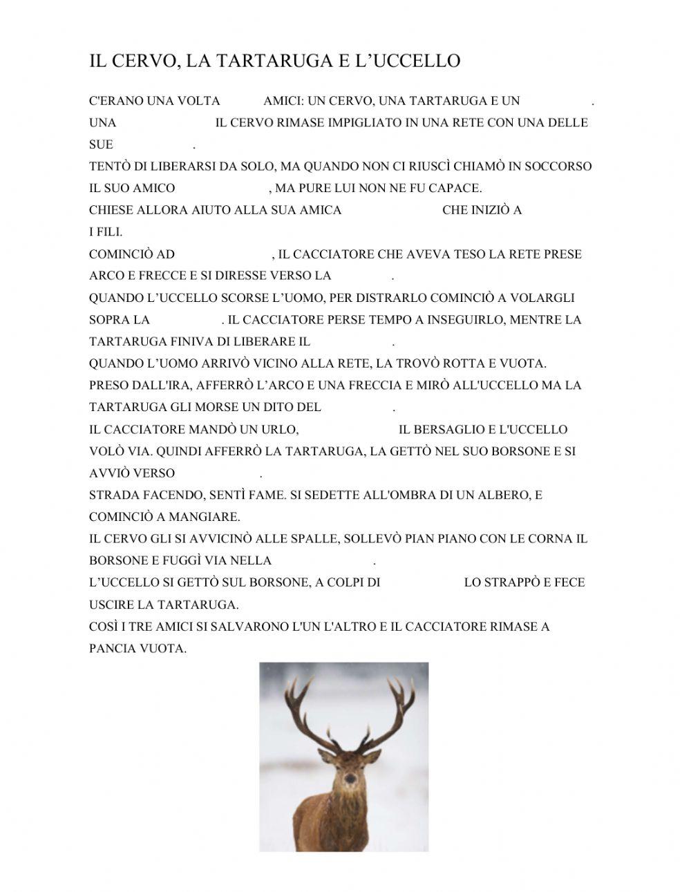 IL CERVO, LA TARTARUGA E L'UCCELLO