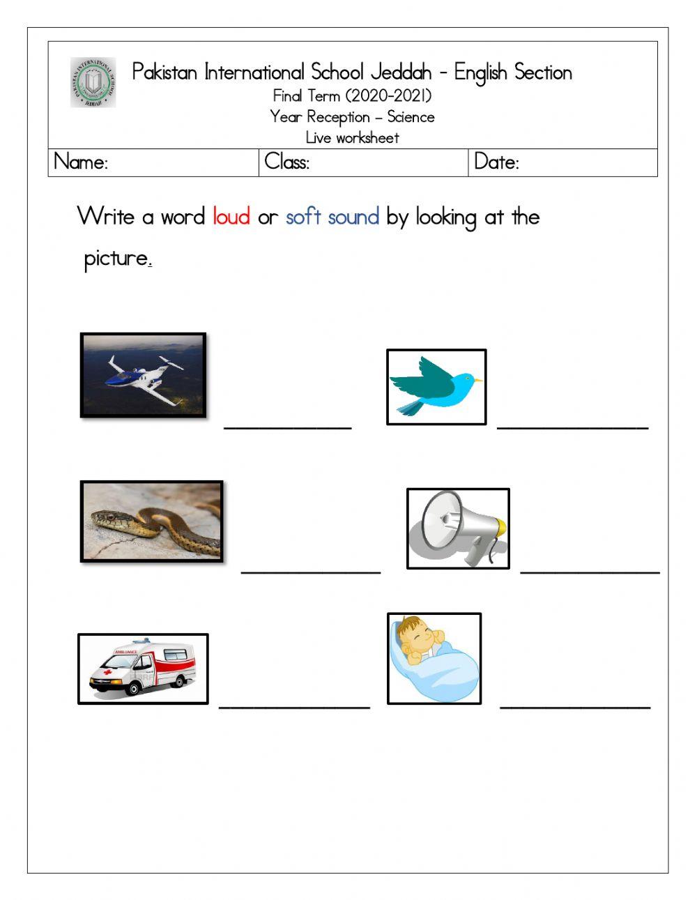 Science live worksheet sources of sound