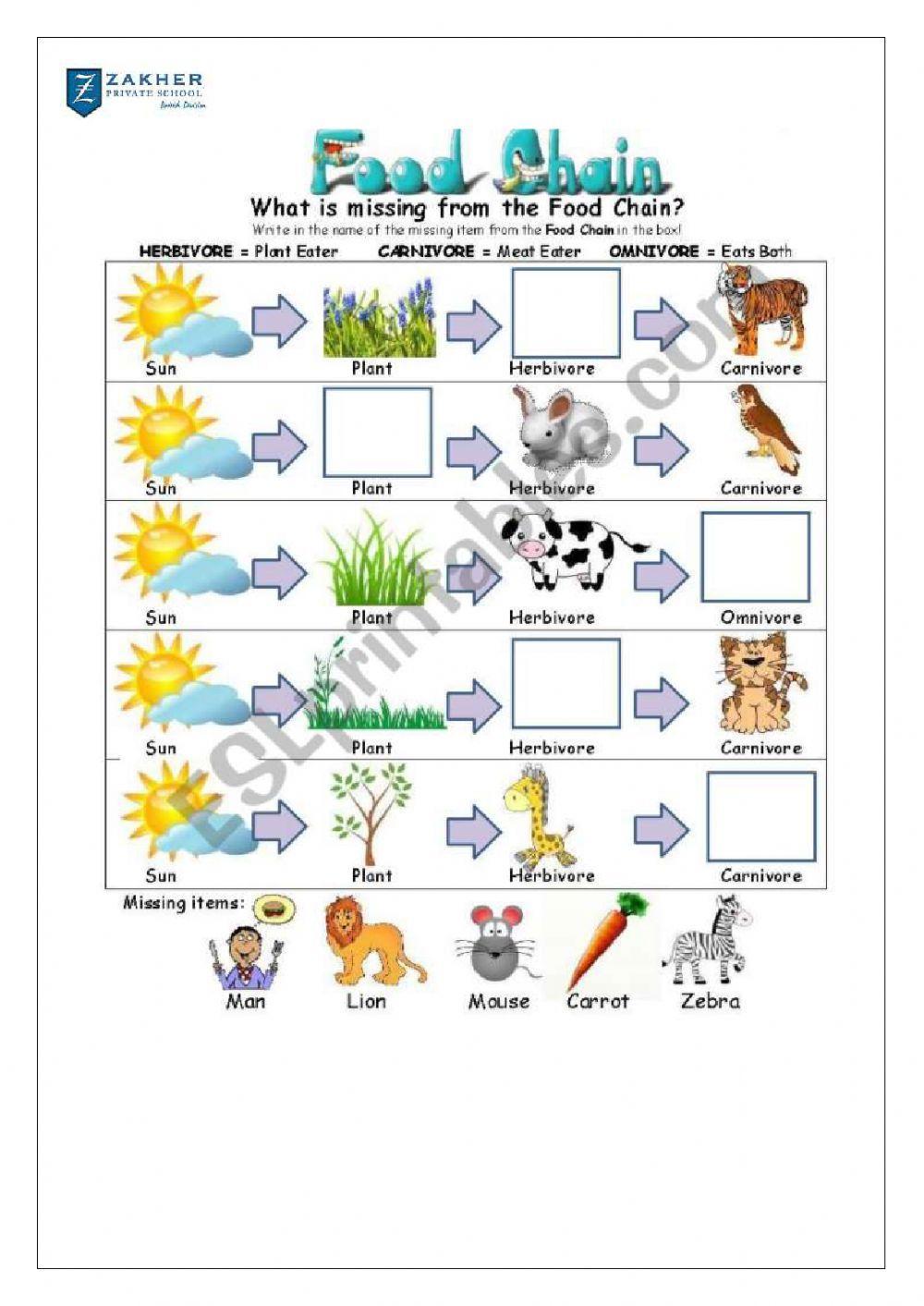 Primary - Middle Teacher