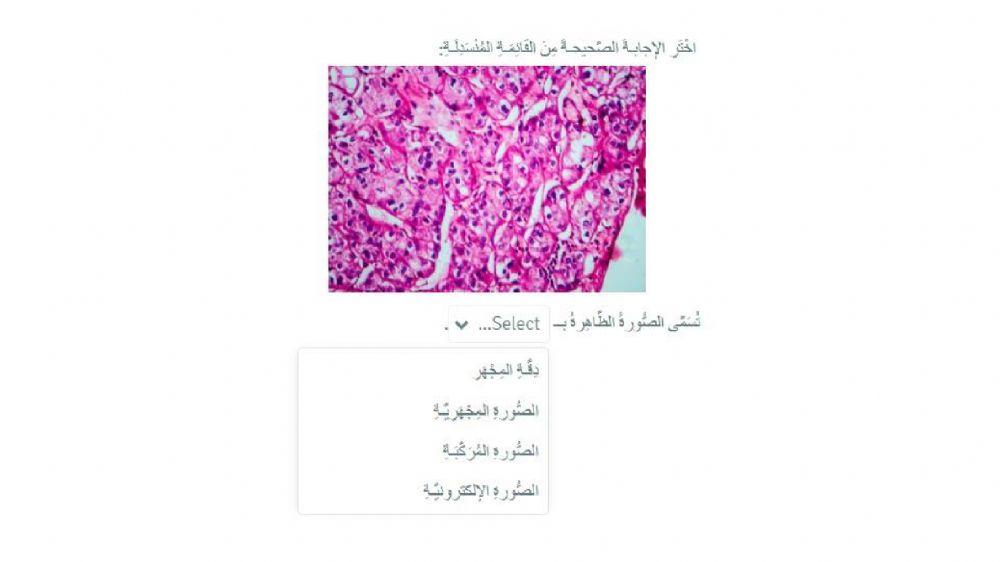 الدرس 76 - ورقة عمل - 2