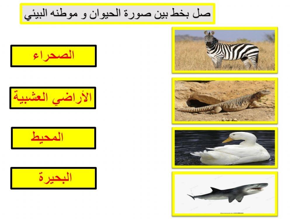 الموطن البيئي