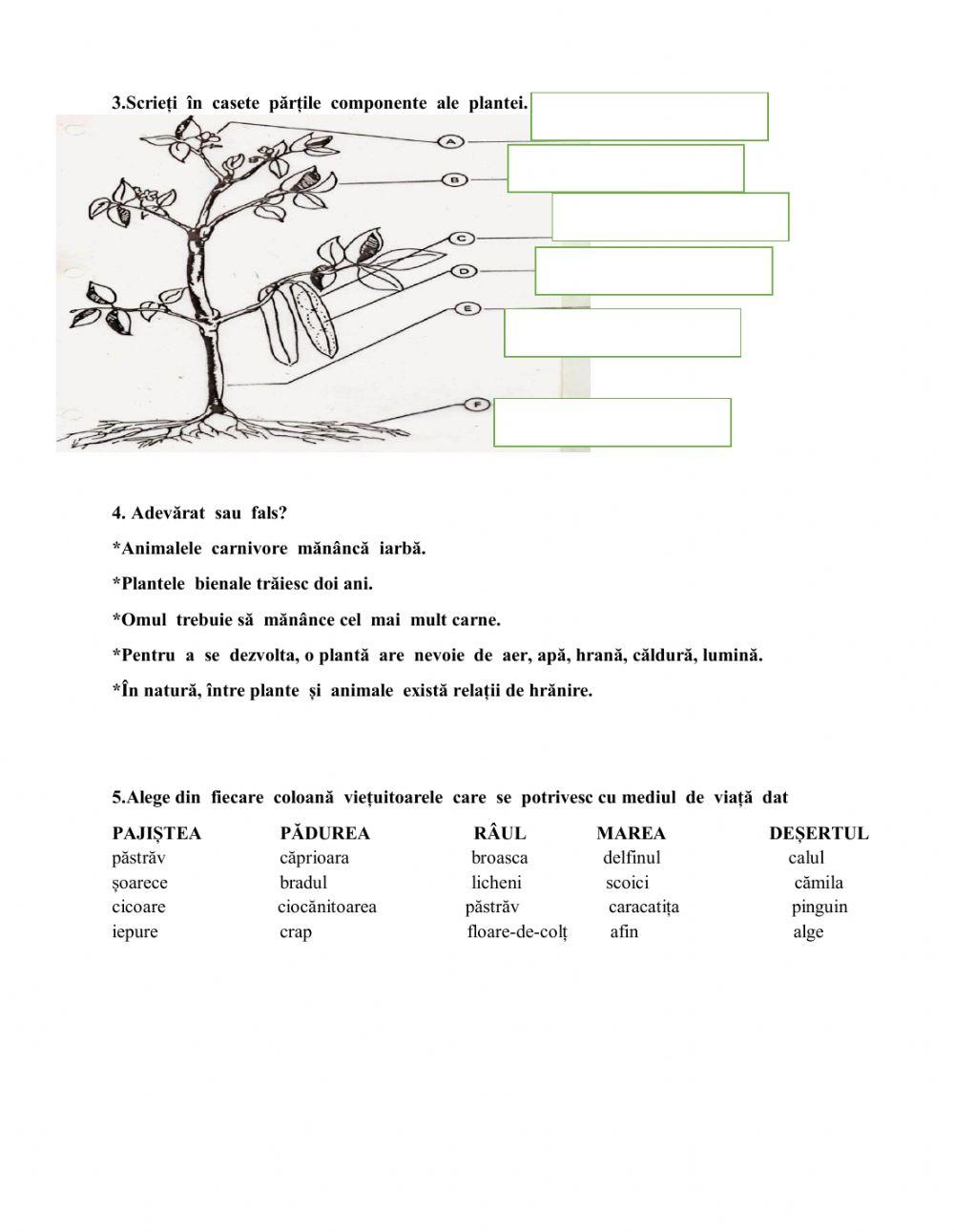 Probă de evaluare semestrială