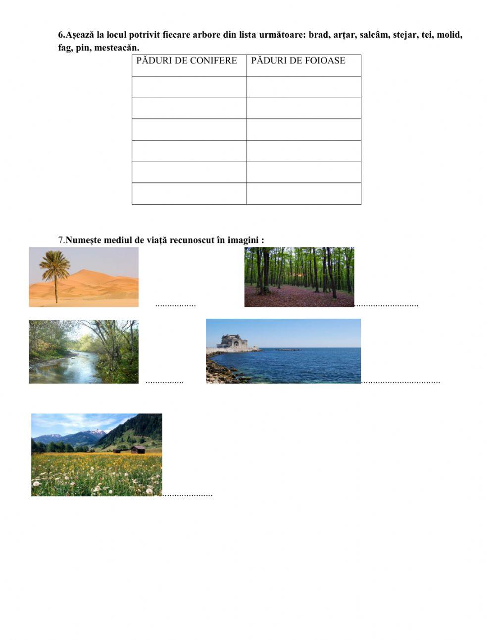 Probă de evaluare semestrială