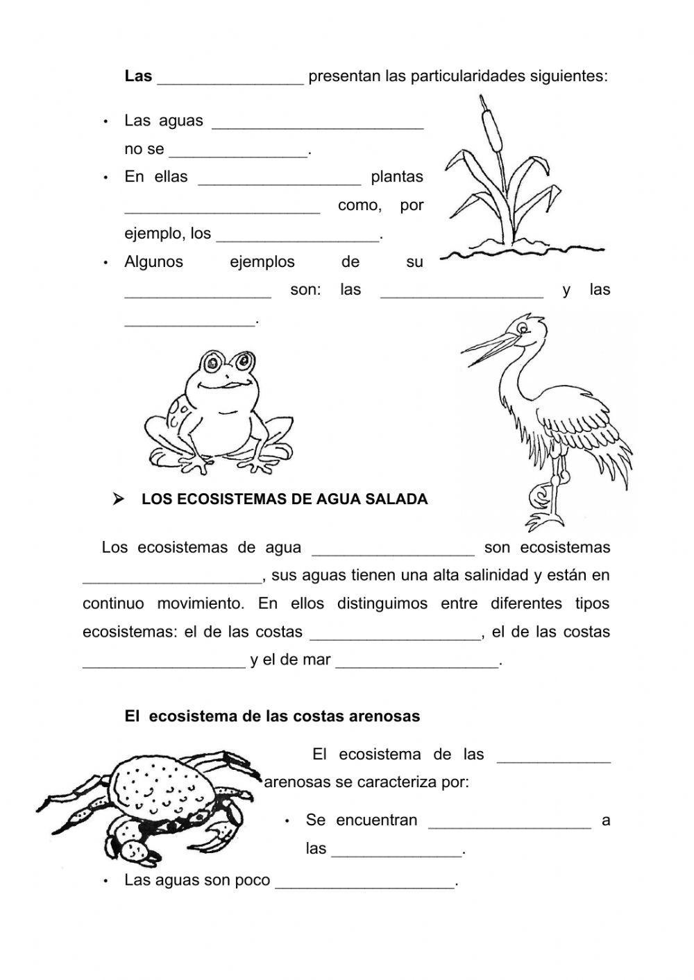 Los ecosistemas acuáticos