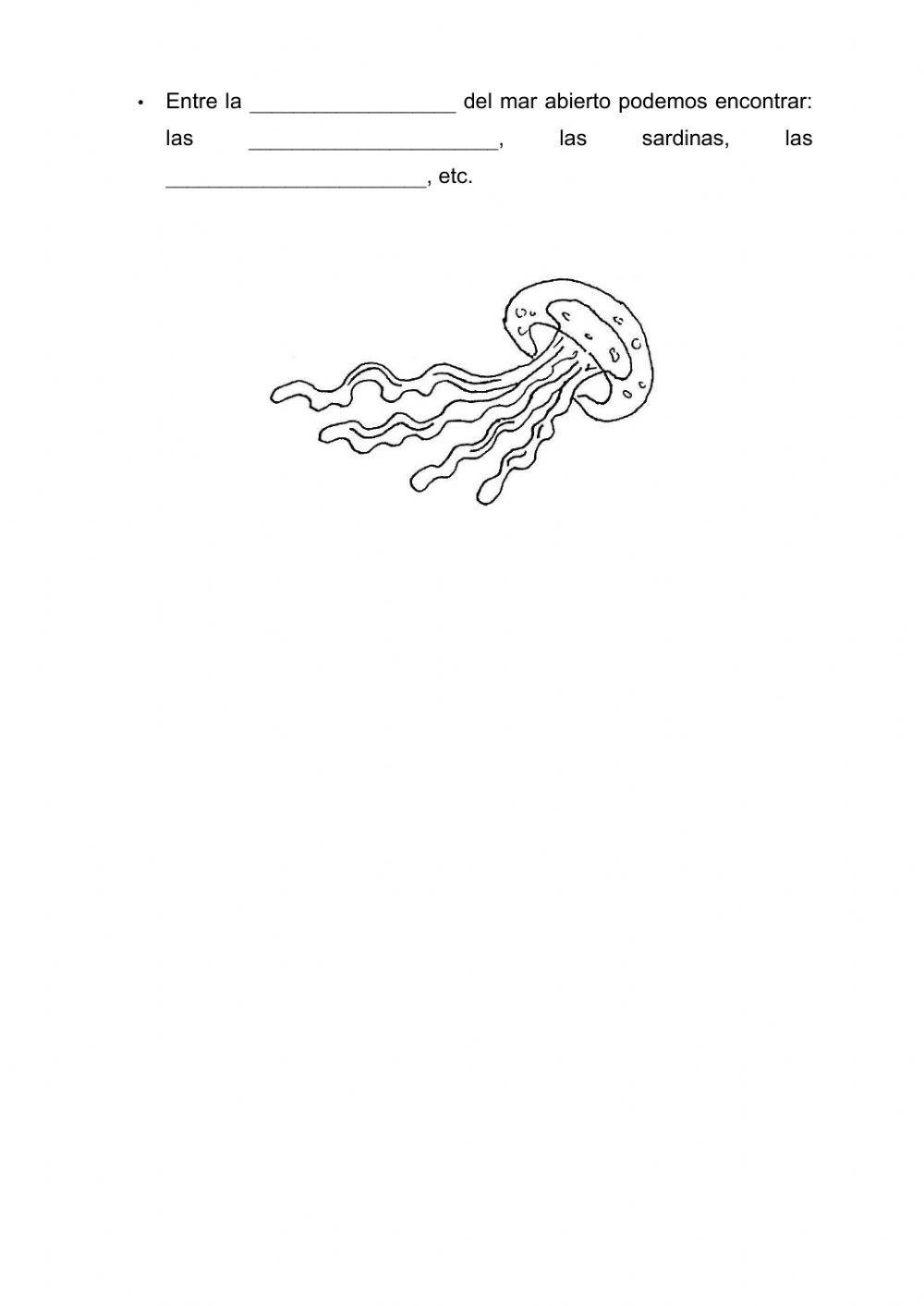 Los ecosistemas acuáticos