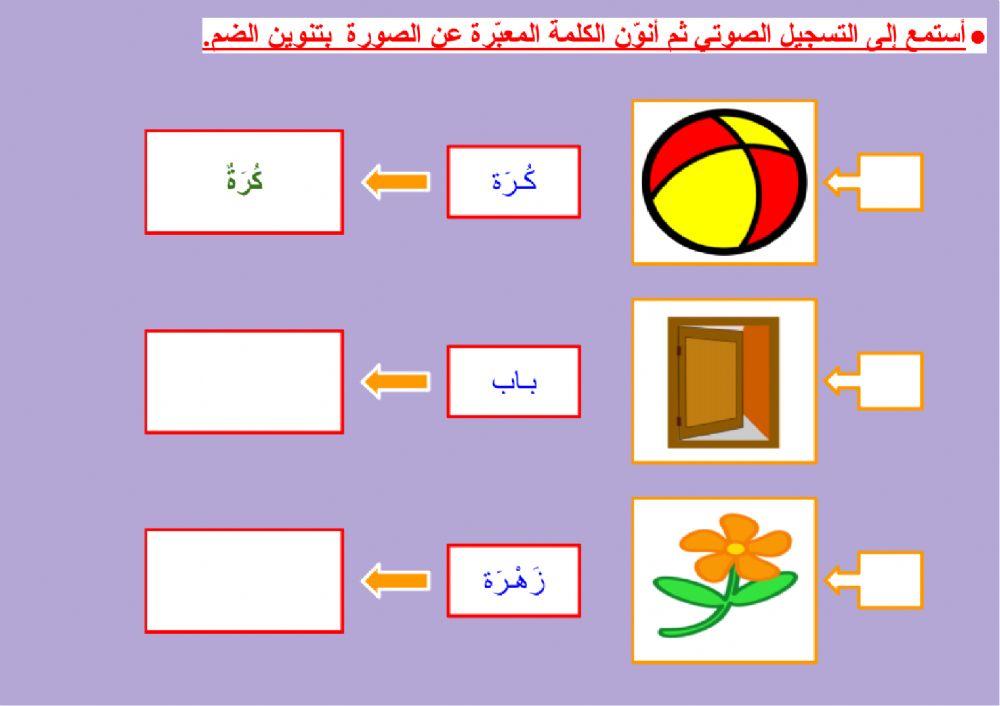 صحة الرسم الهجائي - التنوين بالضم (٢)