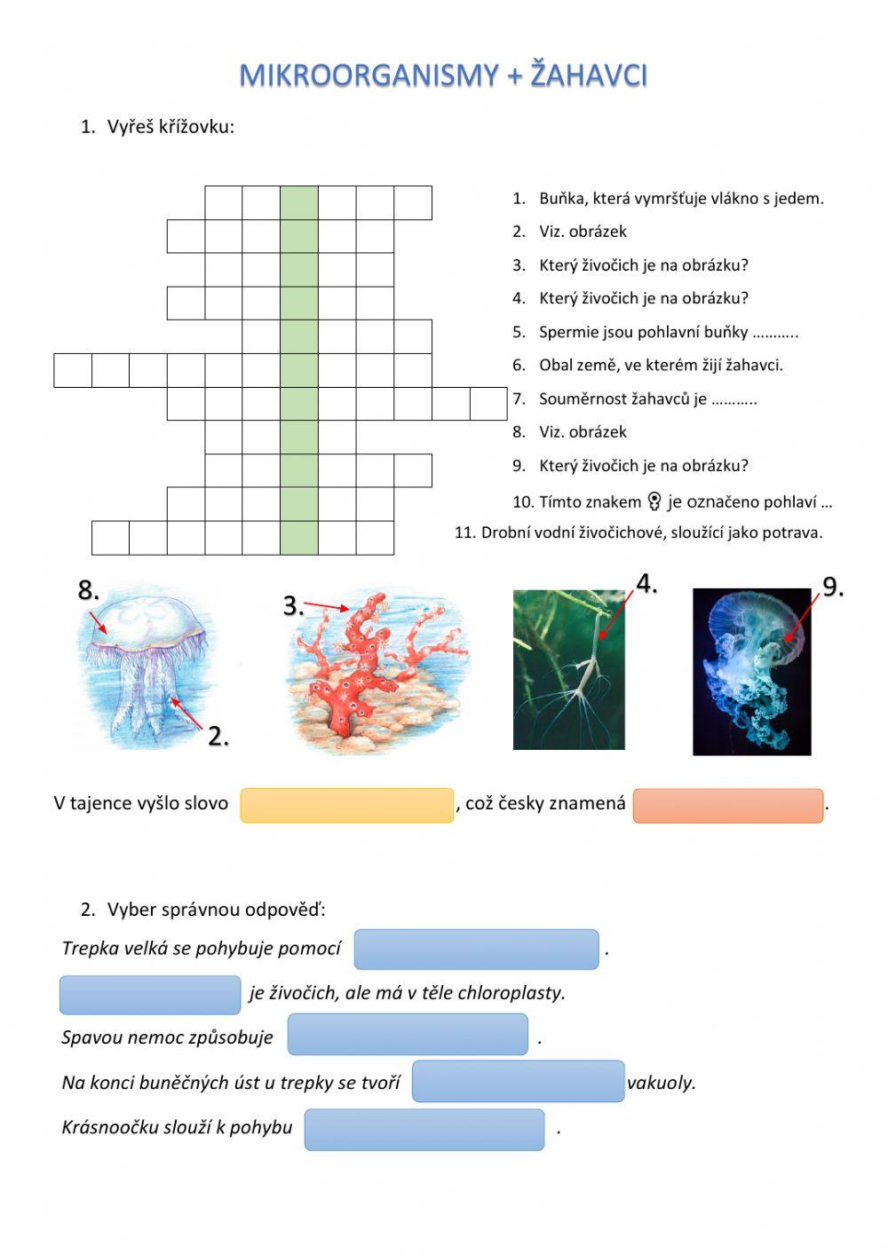 Žahavci a mikroorganismy