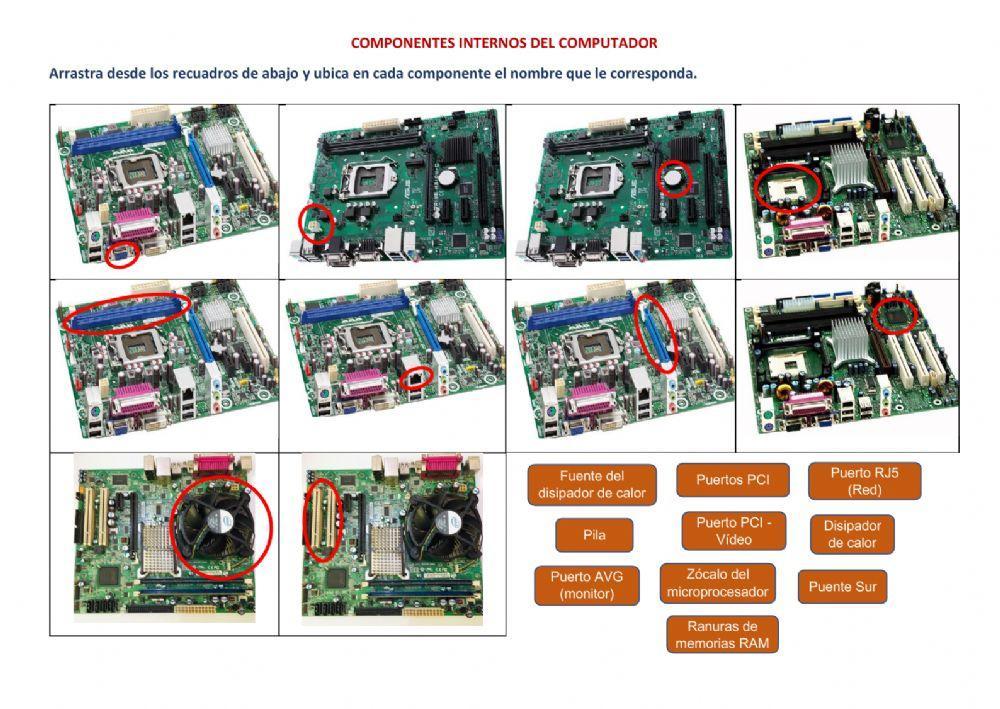 Componentes internos del computador