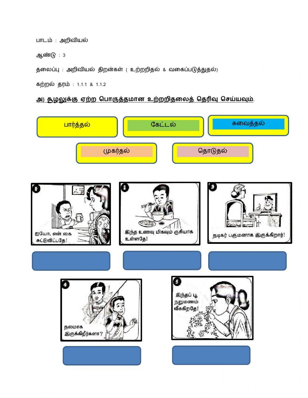 அறிவியல் திறன்