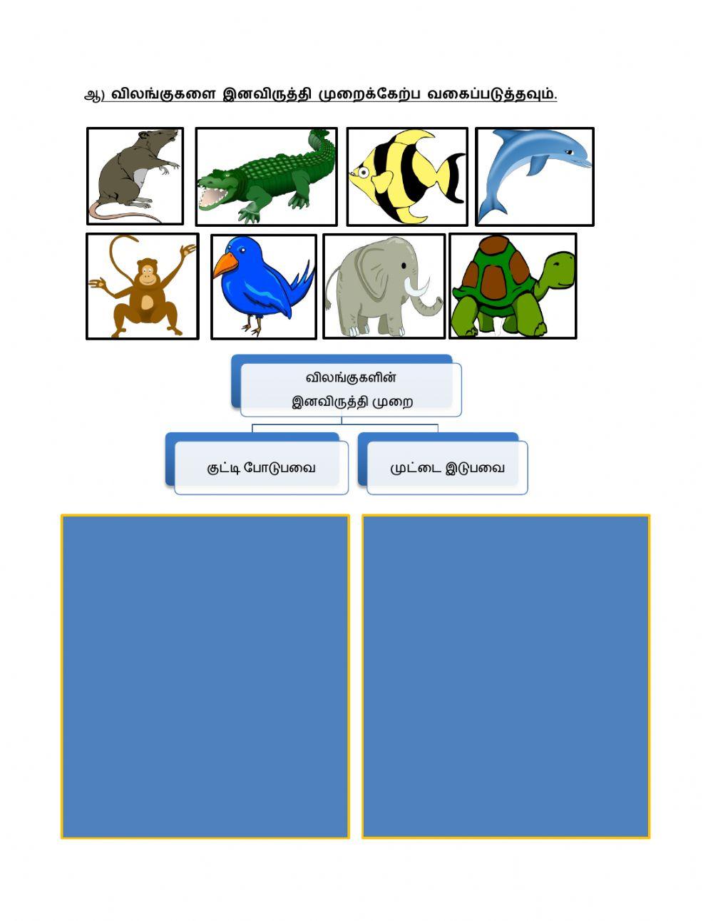 அறிவியல் திறன்