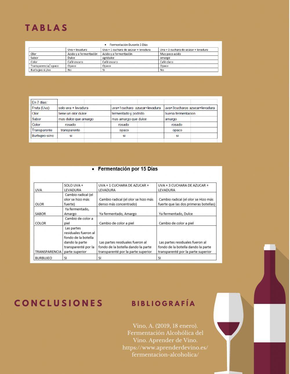 Proyecto Fermentación