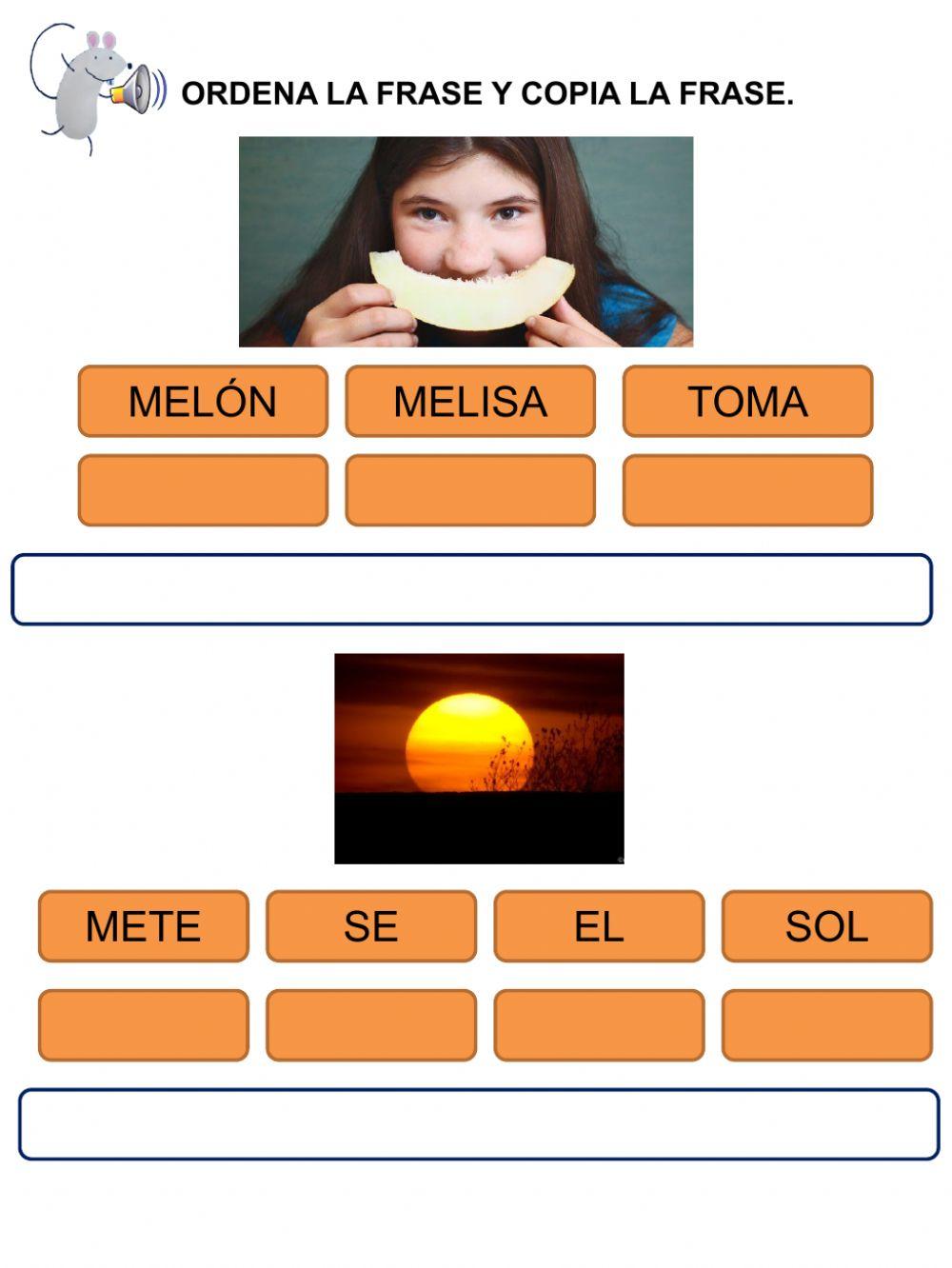 articulos y frases elegir y ordenar M