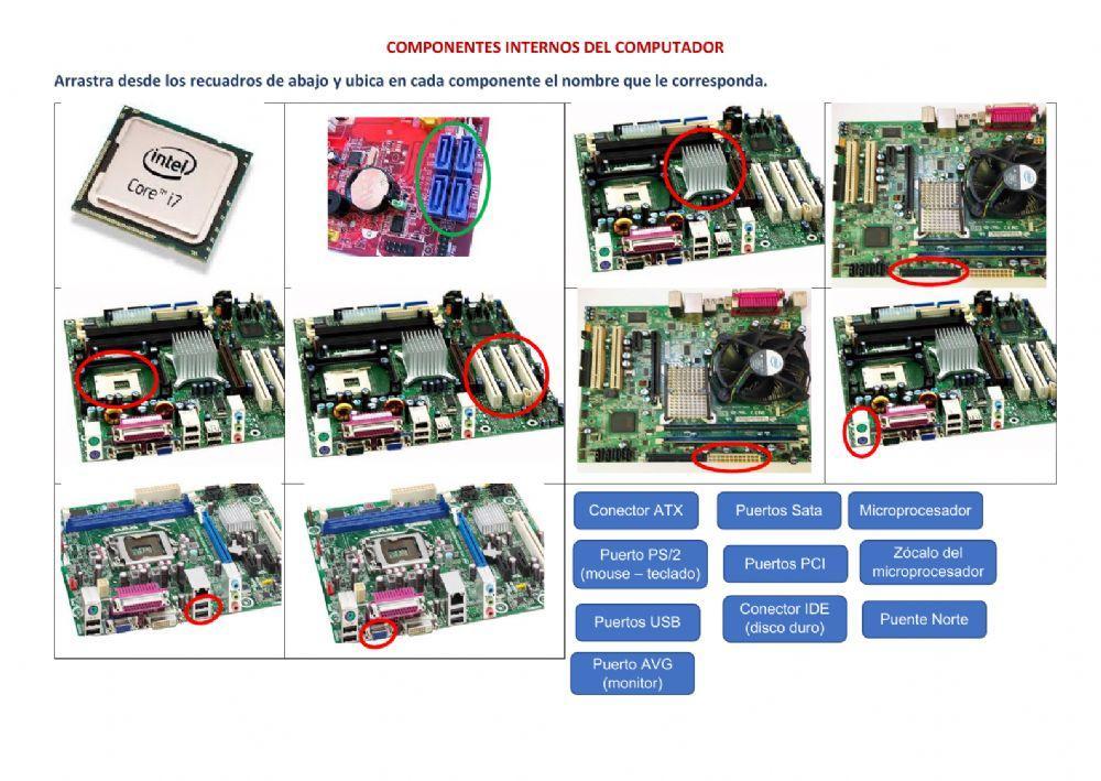 Componentes internos del computador