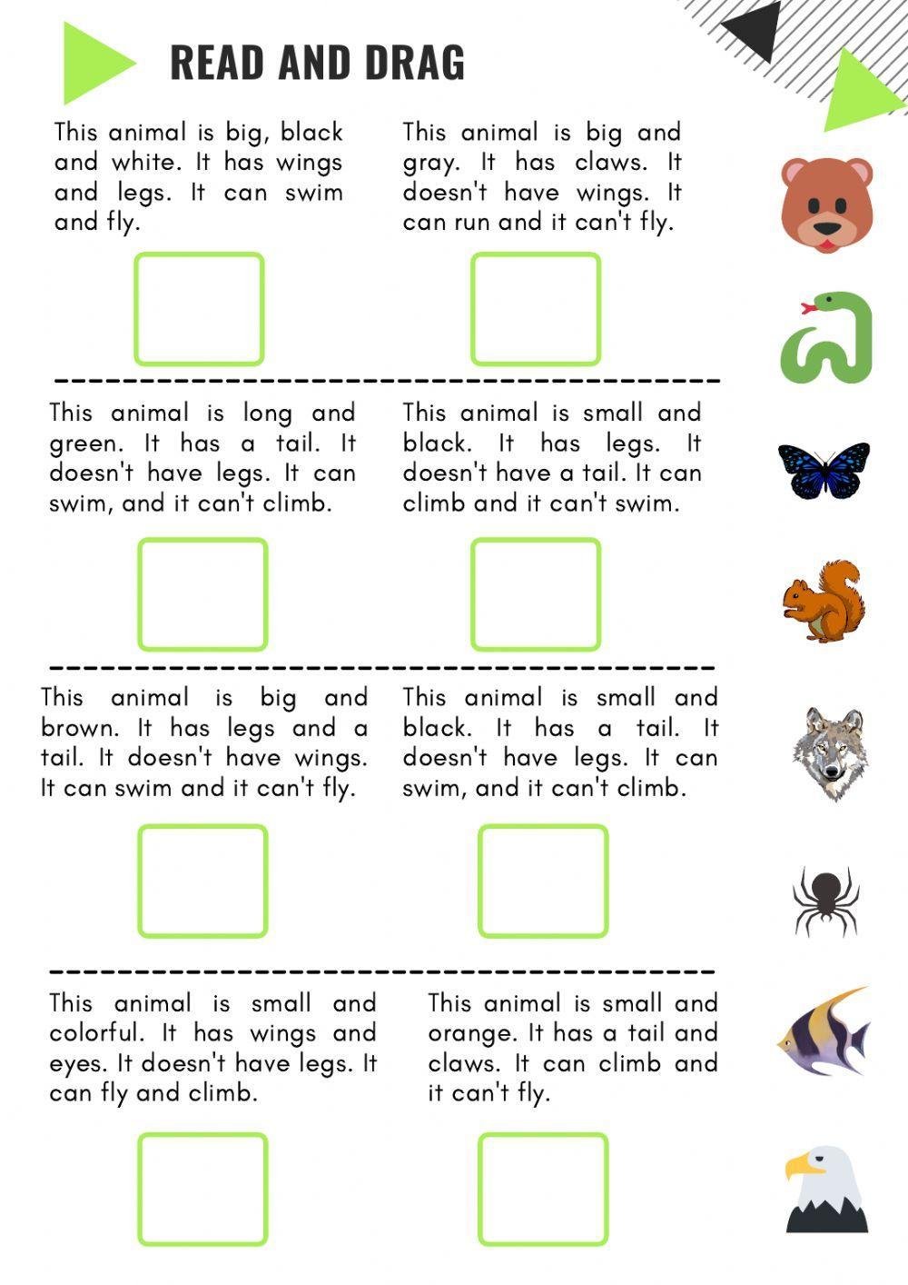 Animals descriptions
