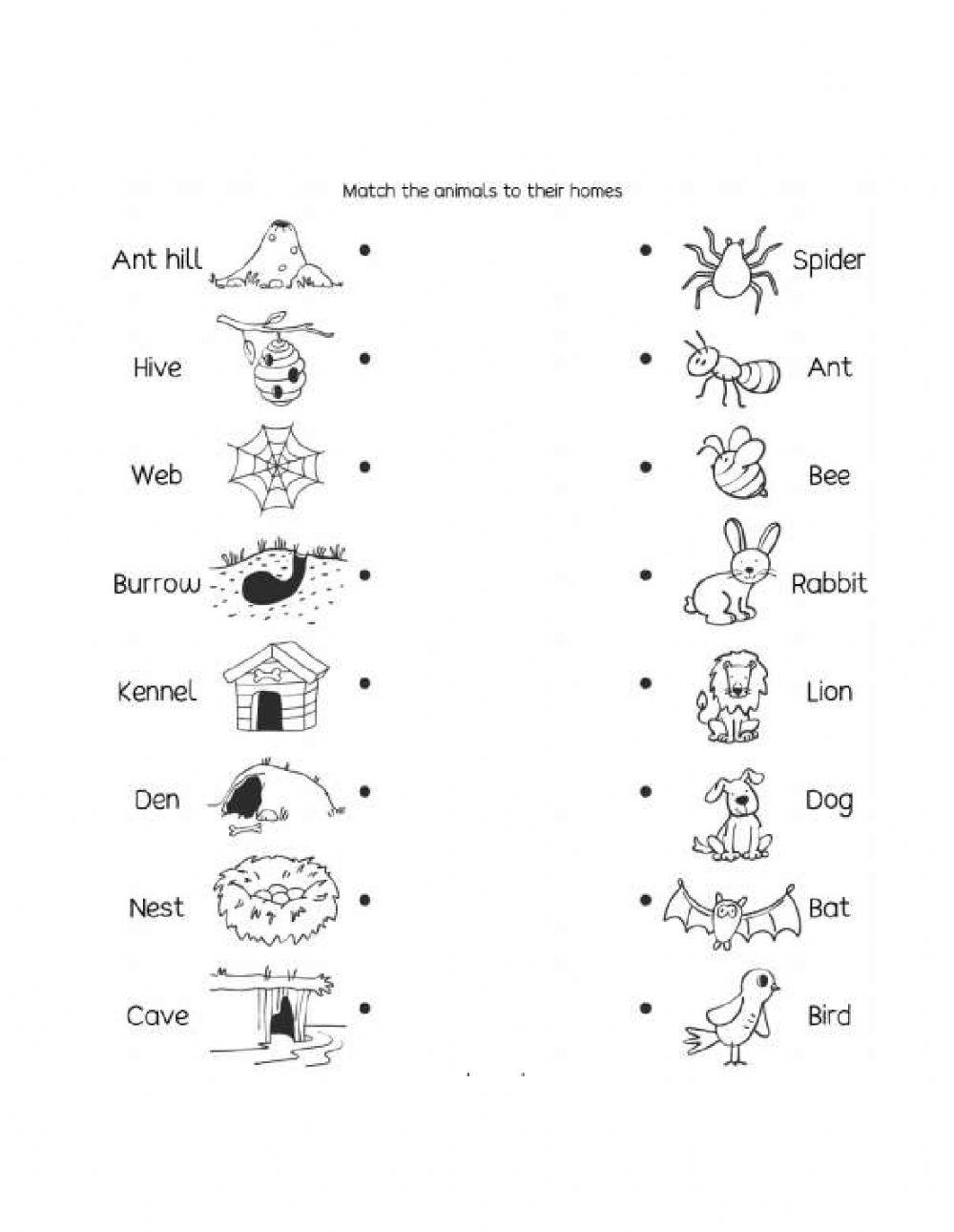 animal-homes-online-worksheet-for-2-live-worksheets