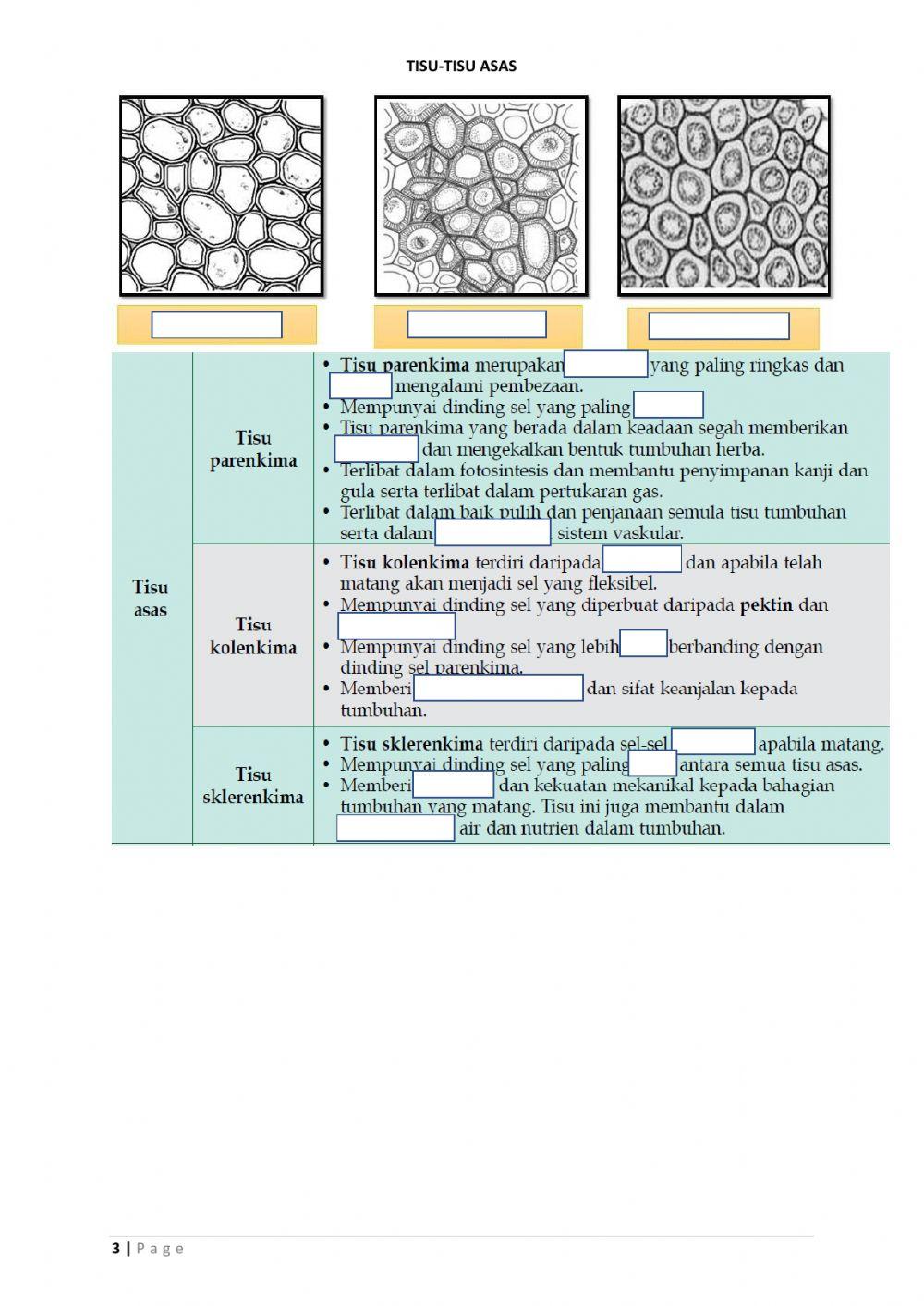 Latihan 1.1 (biologi bab 1 ting 5)
