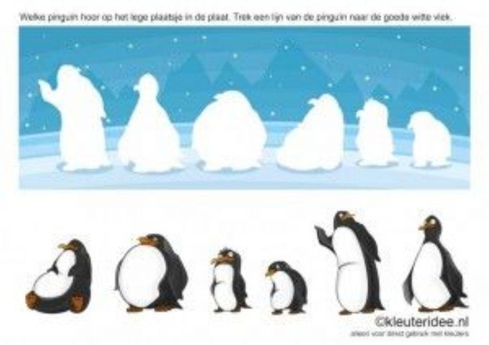 Pingvin kereső