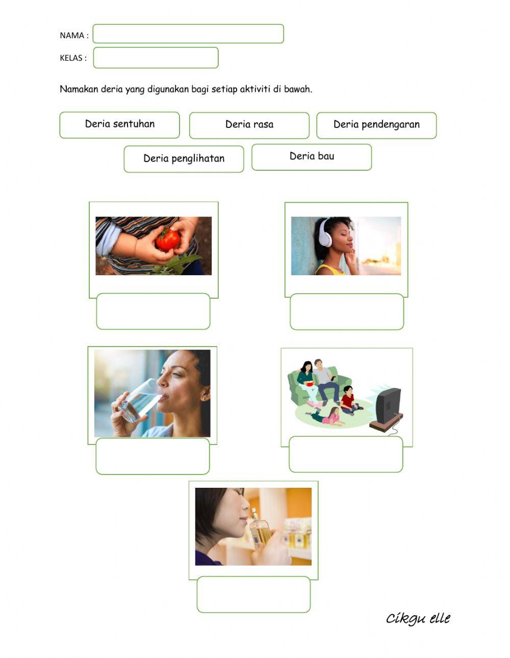 Sains tahun 3 memerhati