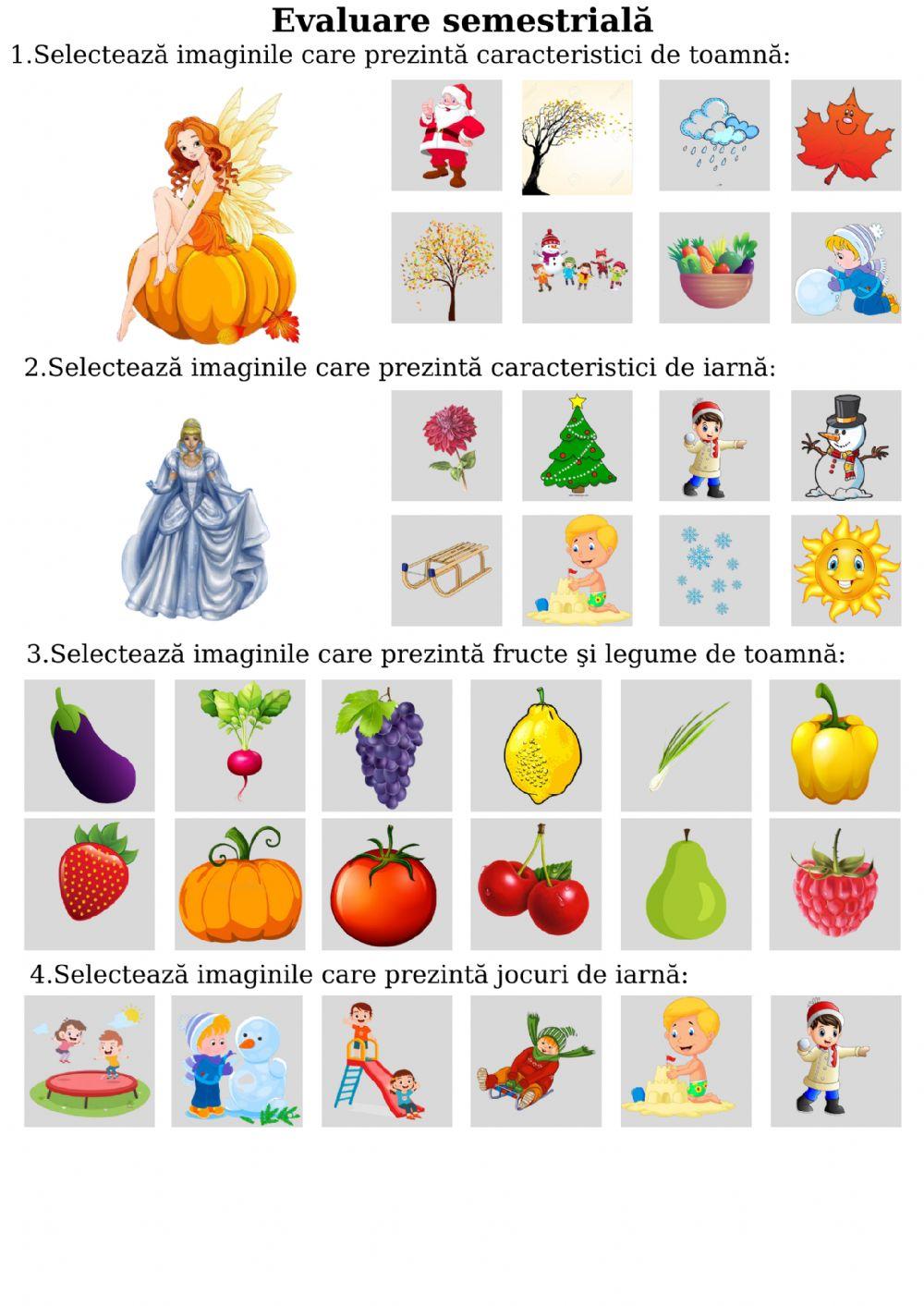 Evaluare semestriala