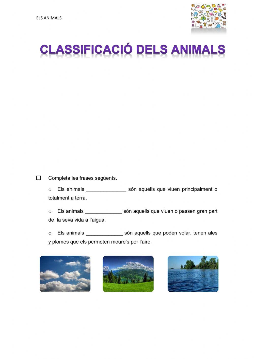 Classificació animals