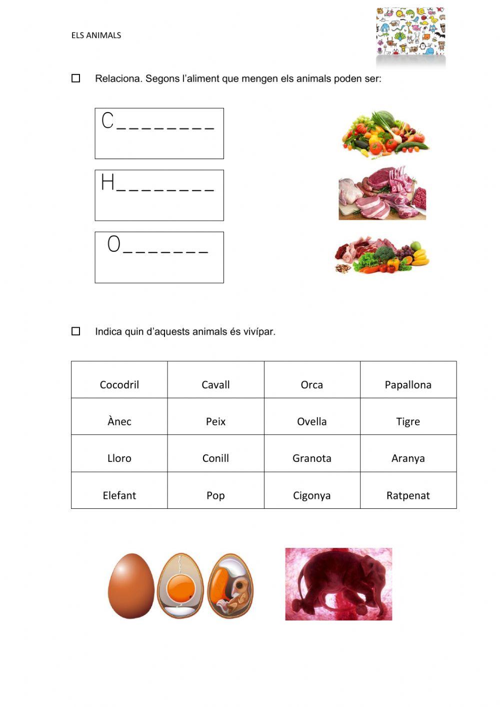 Classificació animals