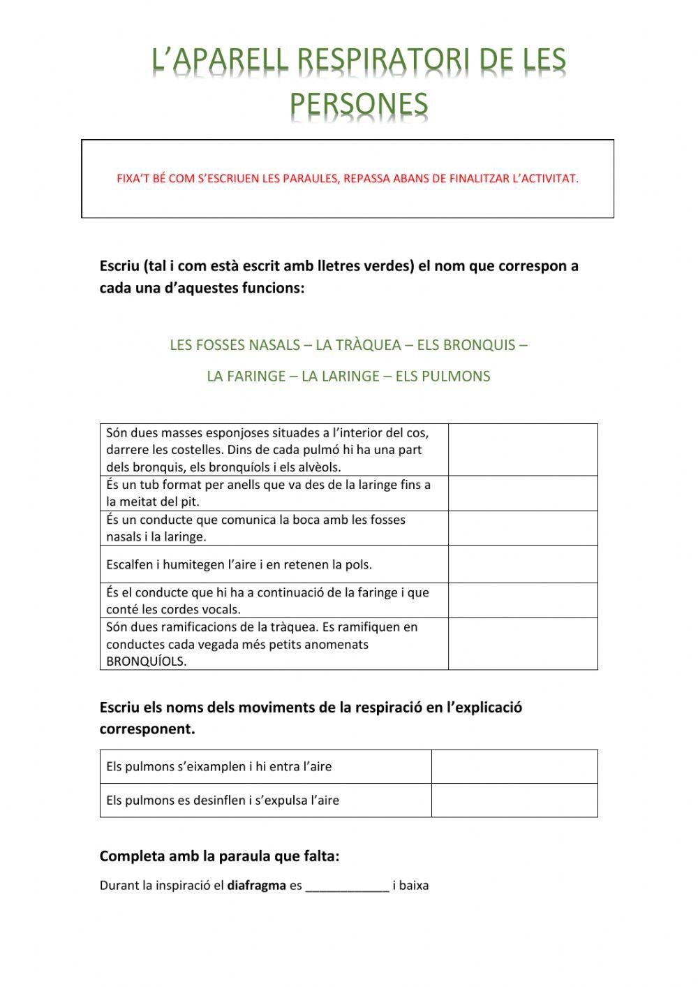 L'aparell respiratori de les persones