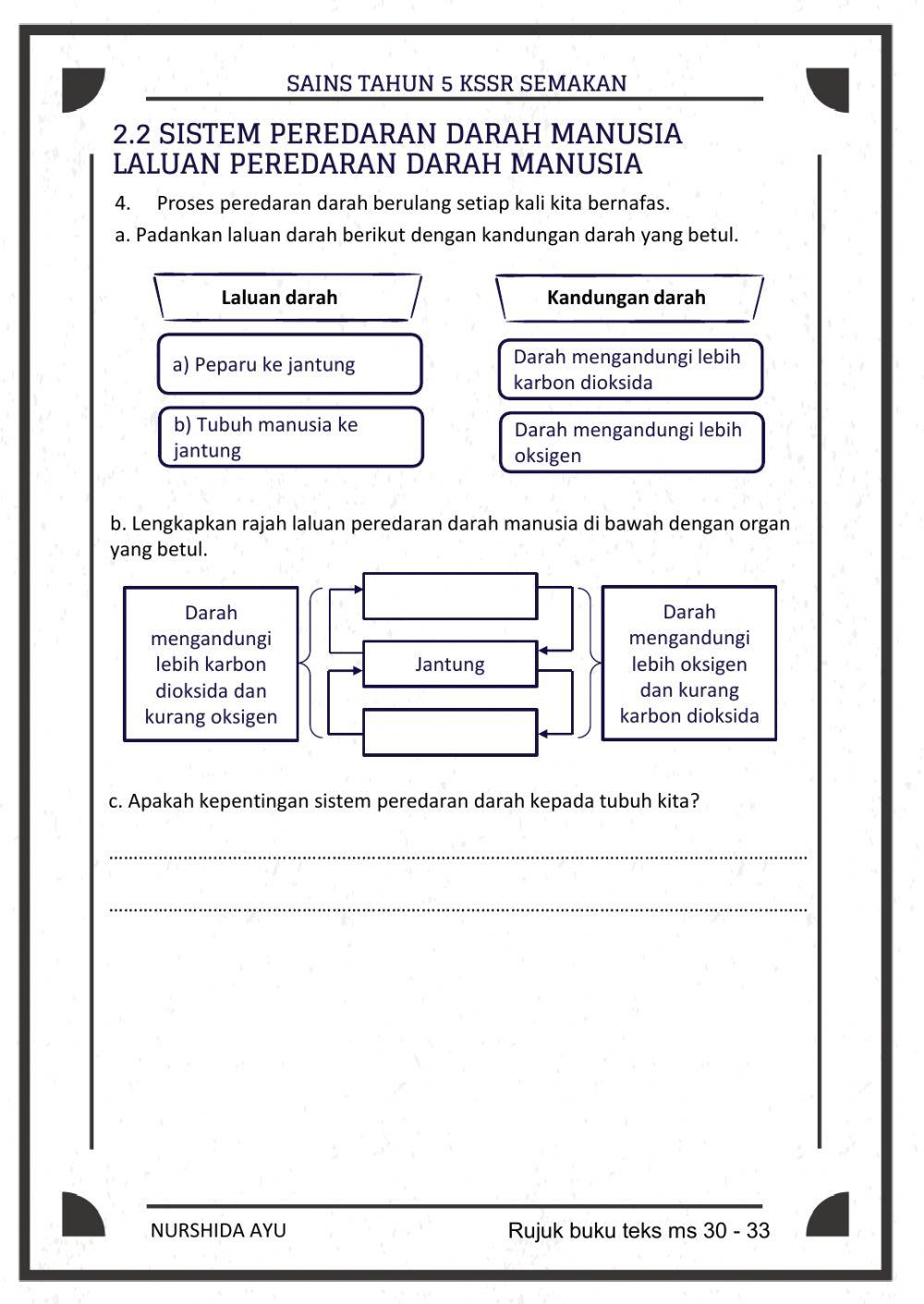 Sistem rangka,Sistem peredaran darah, perkaitan sistem