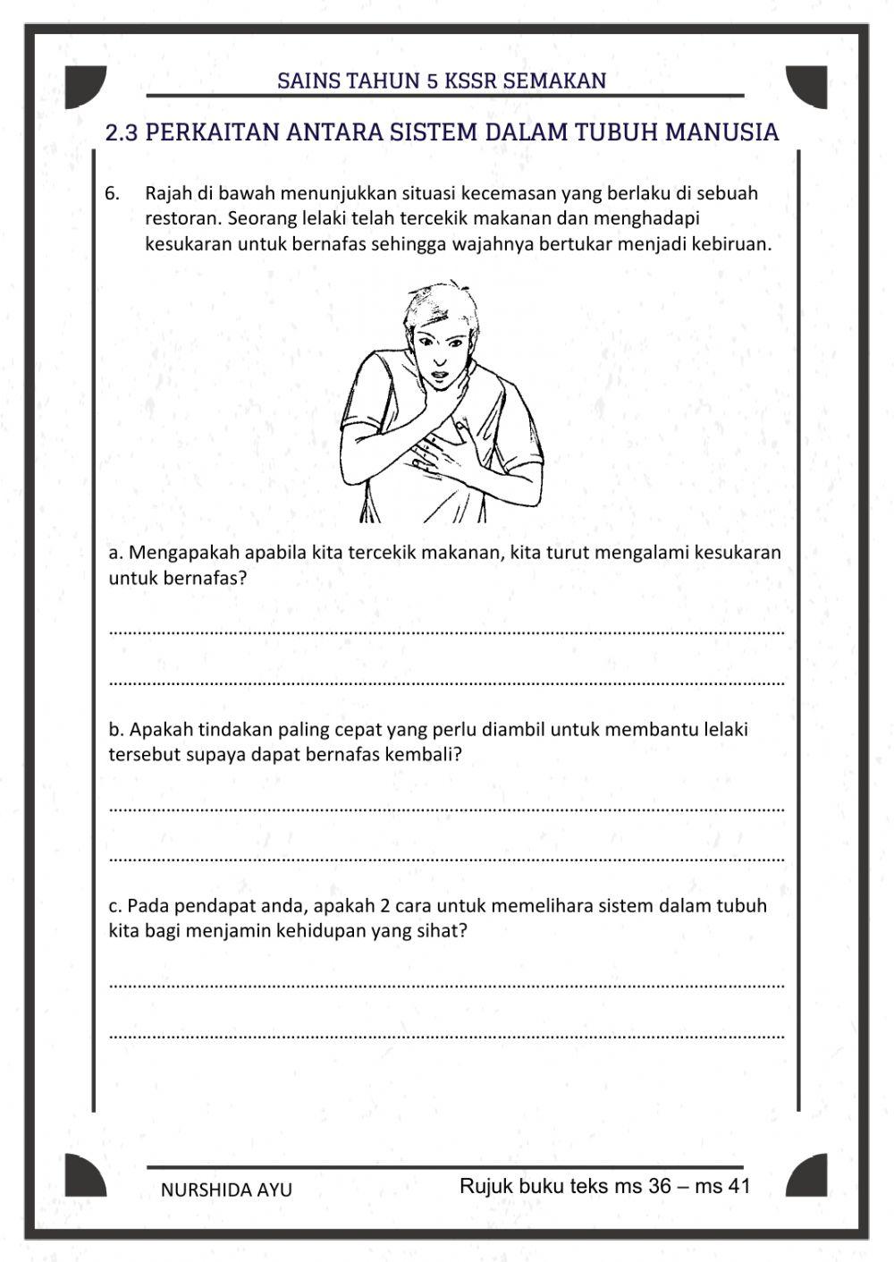 Sistem rangka,Sistem peredaran darah, perkaitan sistem