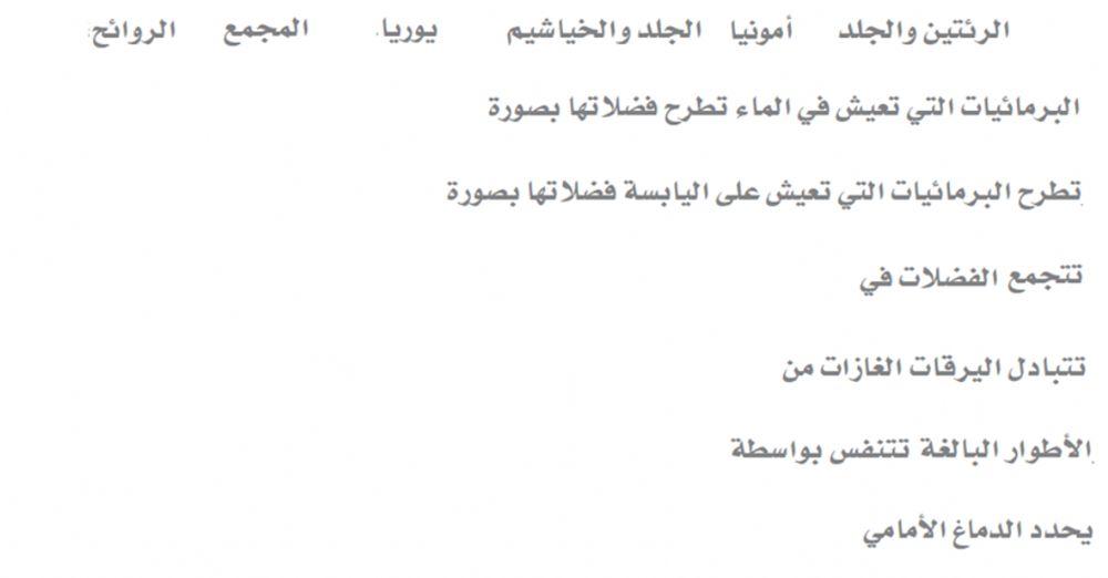 العمليات الحيوية بالبرمائيات