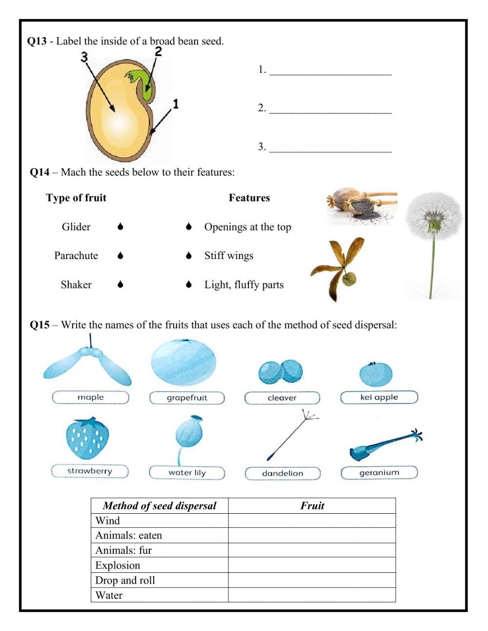 Year 5 - Mid Term Revision Pack