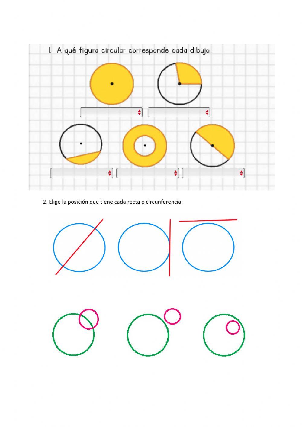 Circulo y Circunferencia: tangente, secante, exterior, interior