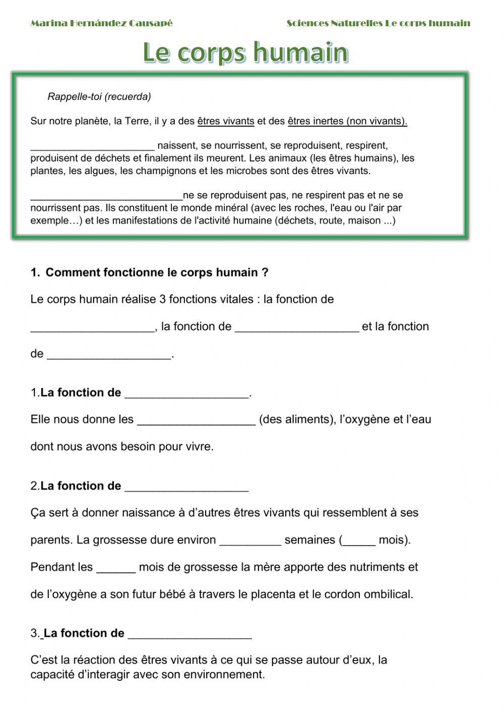 Les 3 fonctions vitales