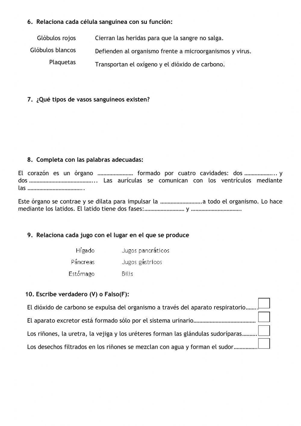 Aparatos cuerpo humano