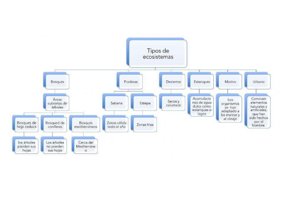 Tipos de ecosistemas Esquema