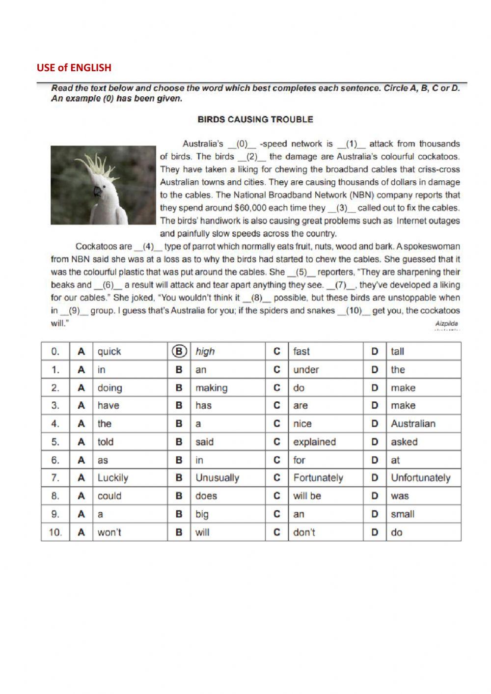 Exam Tasks (1) Year 9