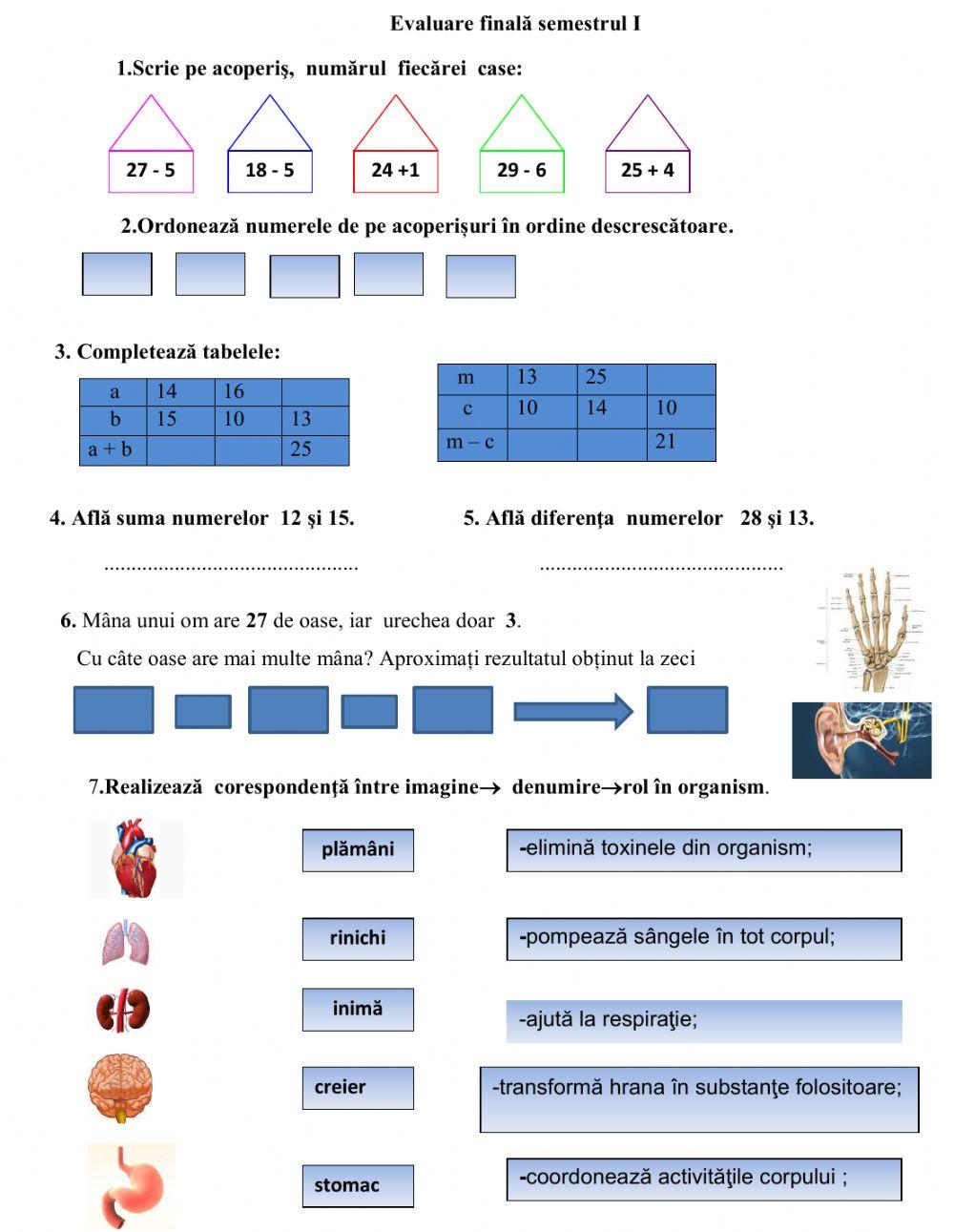 Evaluare semestrială MEM