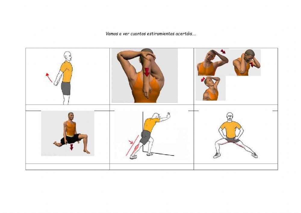 ESTIRAMIENTOS