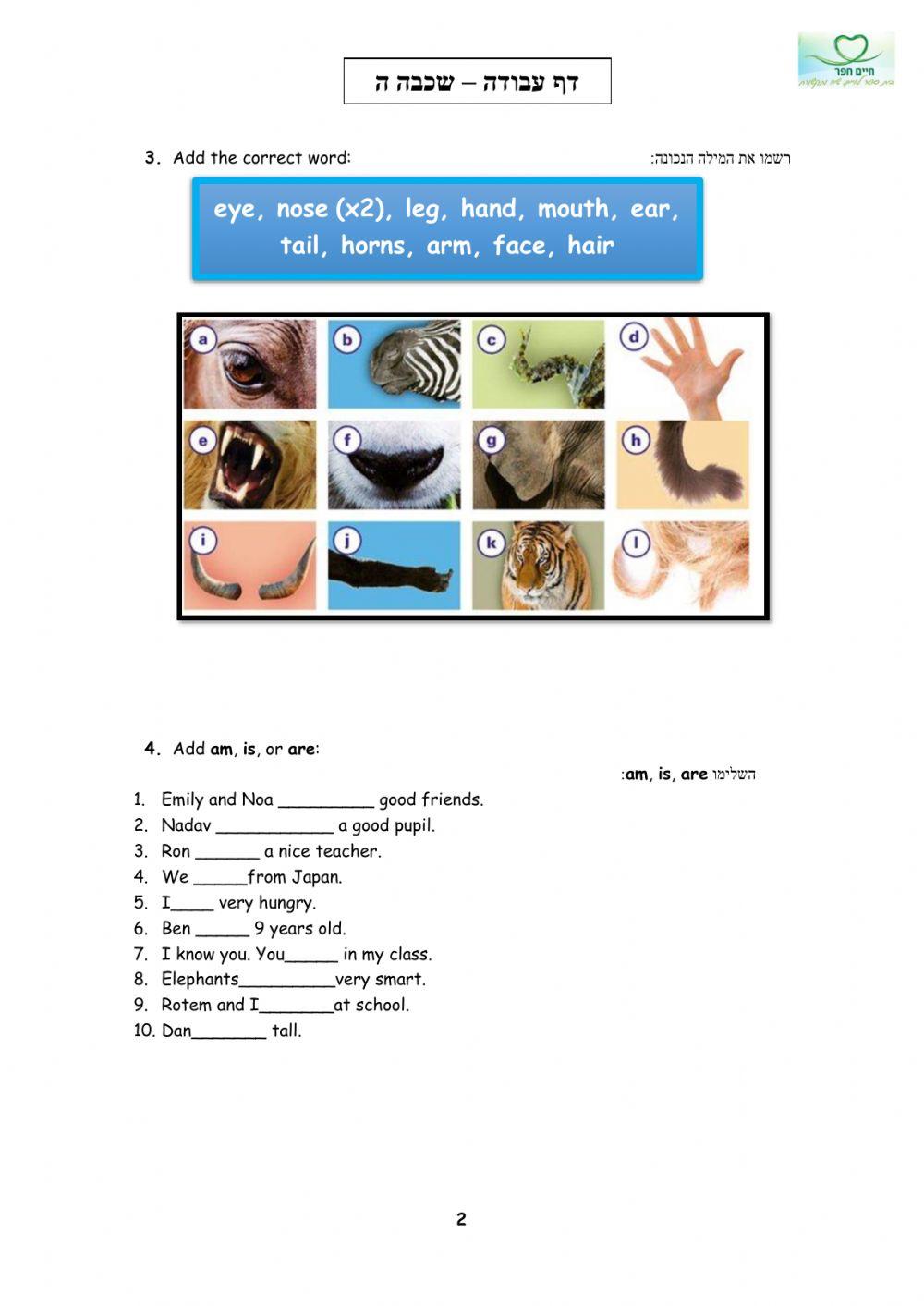 Worksheet for 5th Grade - Our World
