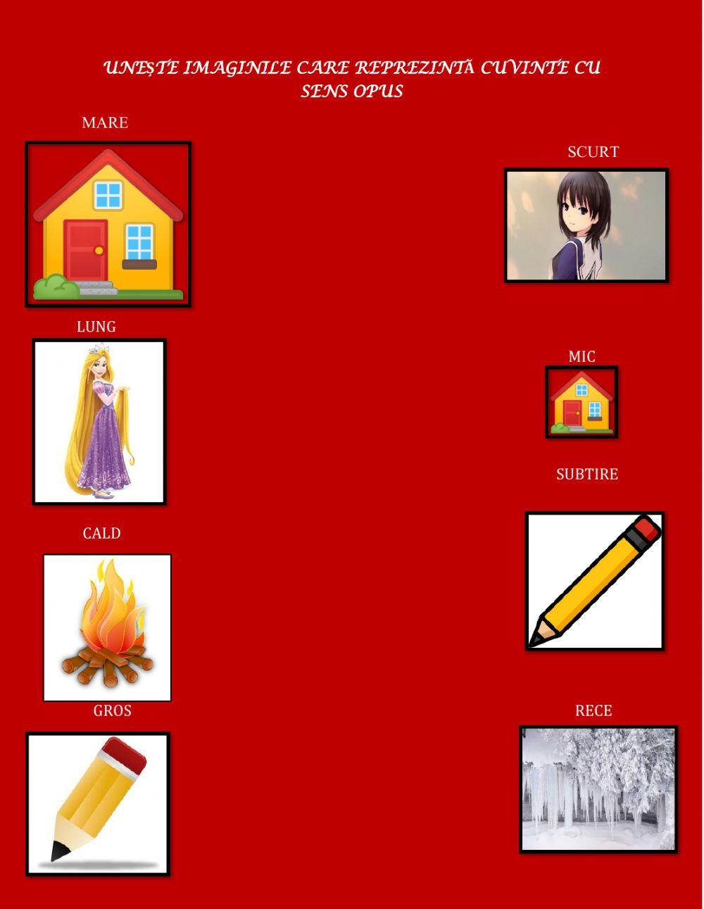 Cuvinte cu sens opus