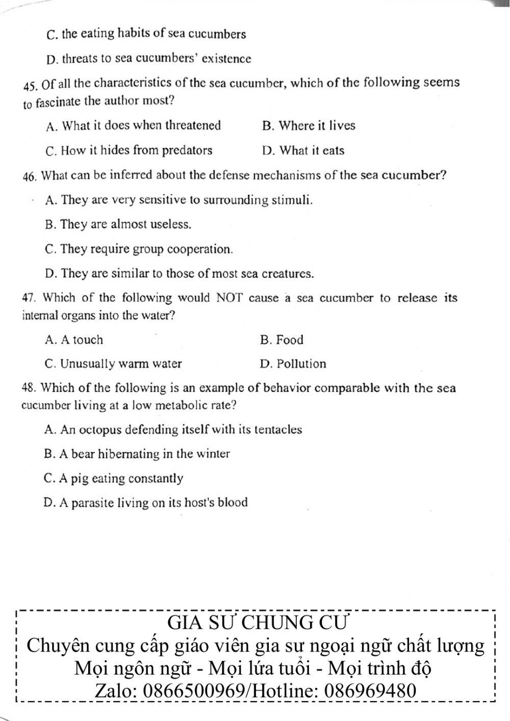 Đề thi đánh giá năng lực ngoại ngữ Tiếng Anh vào lớp 10 Chuyên ngoại ngữ - Số 19.1