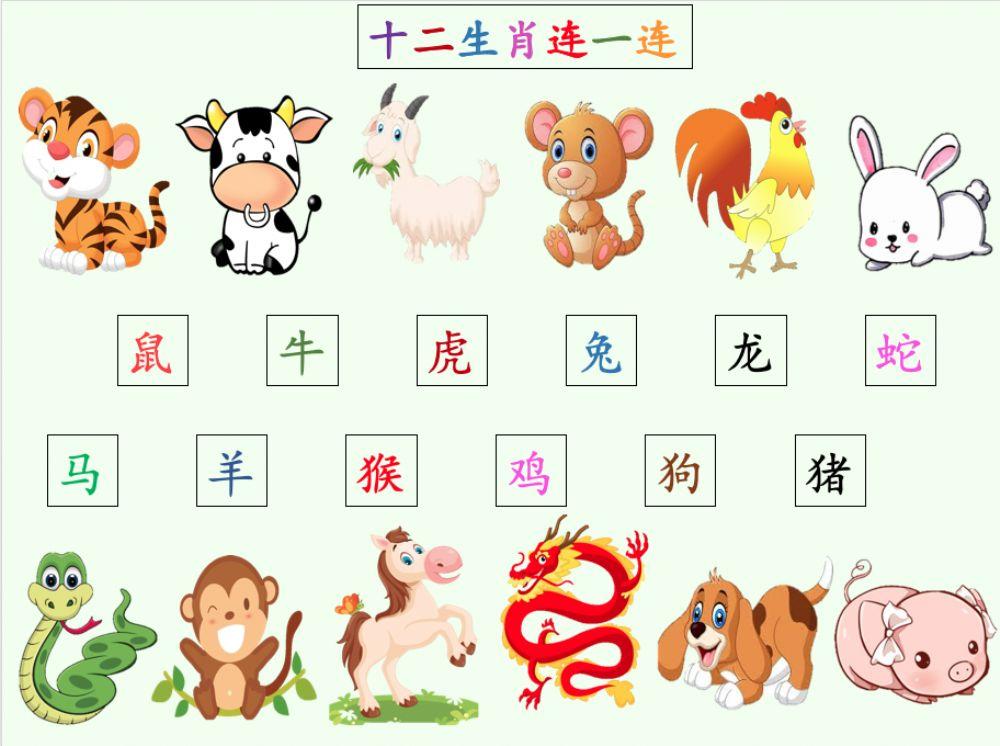 十二生肖连一连