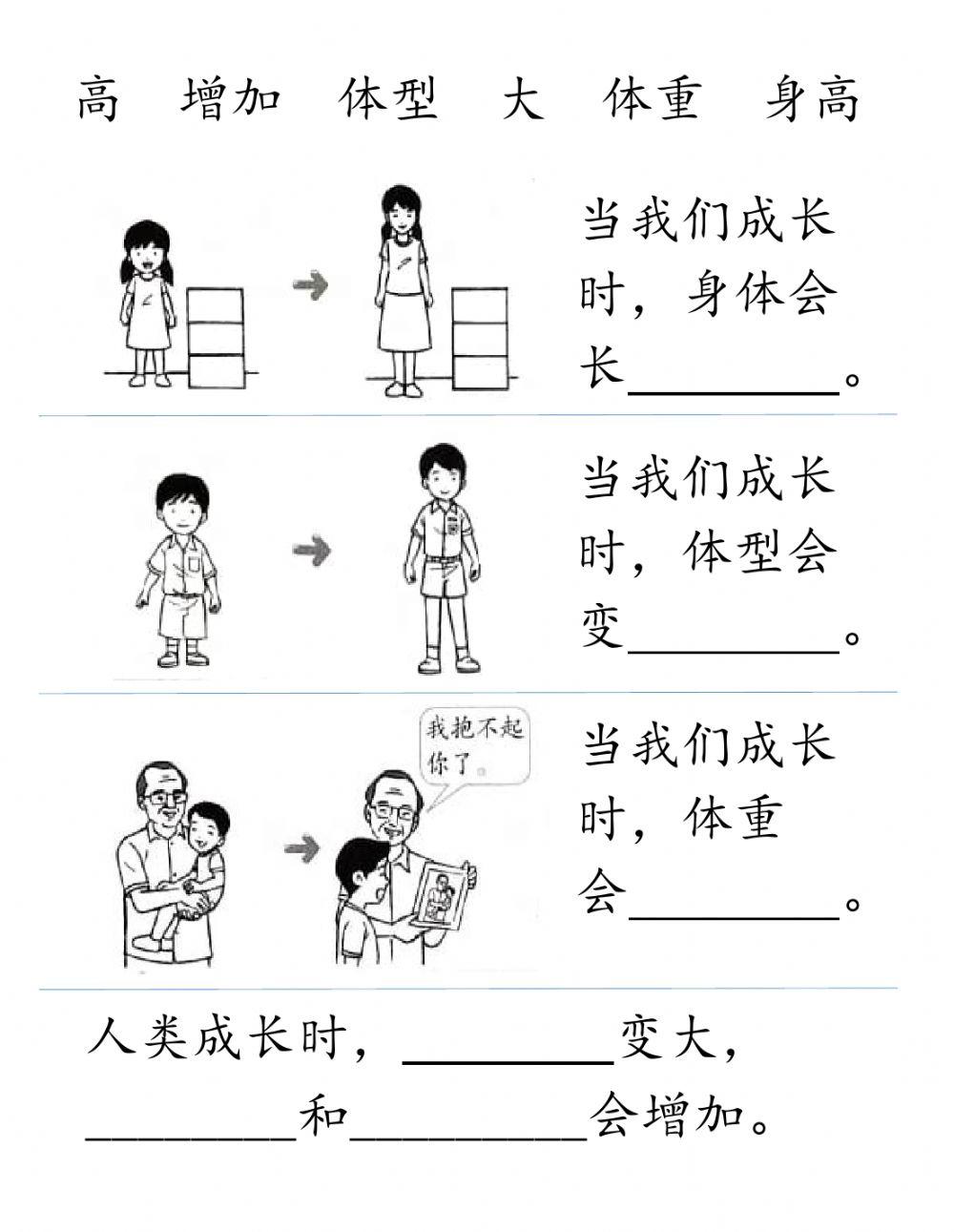 二年级科学人类的成长