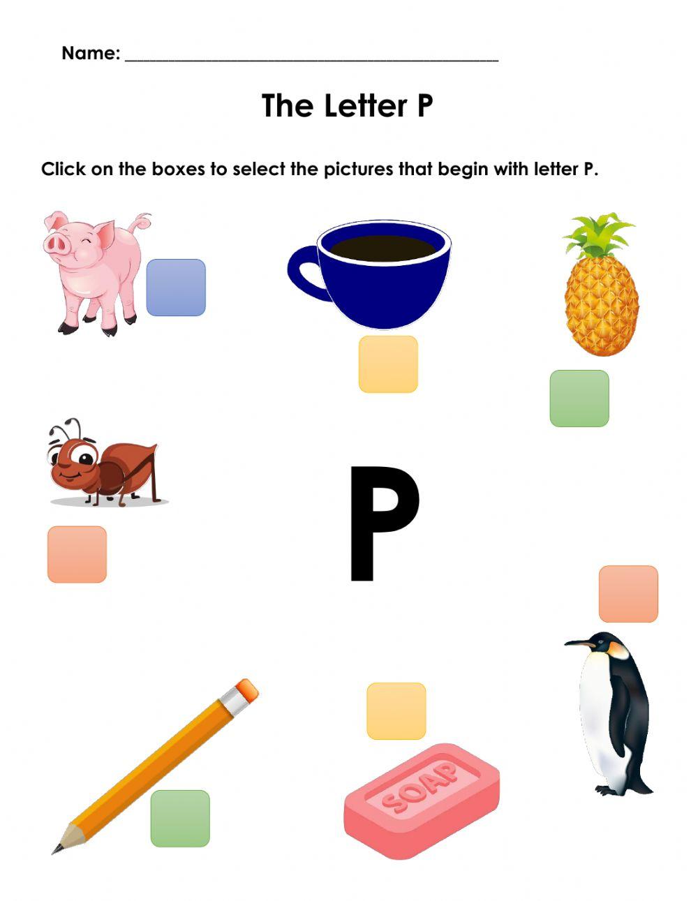 Letter P Words