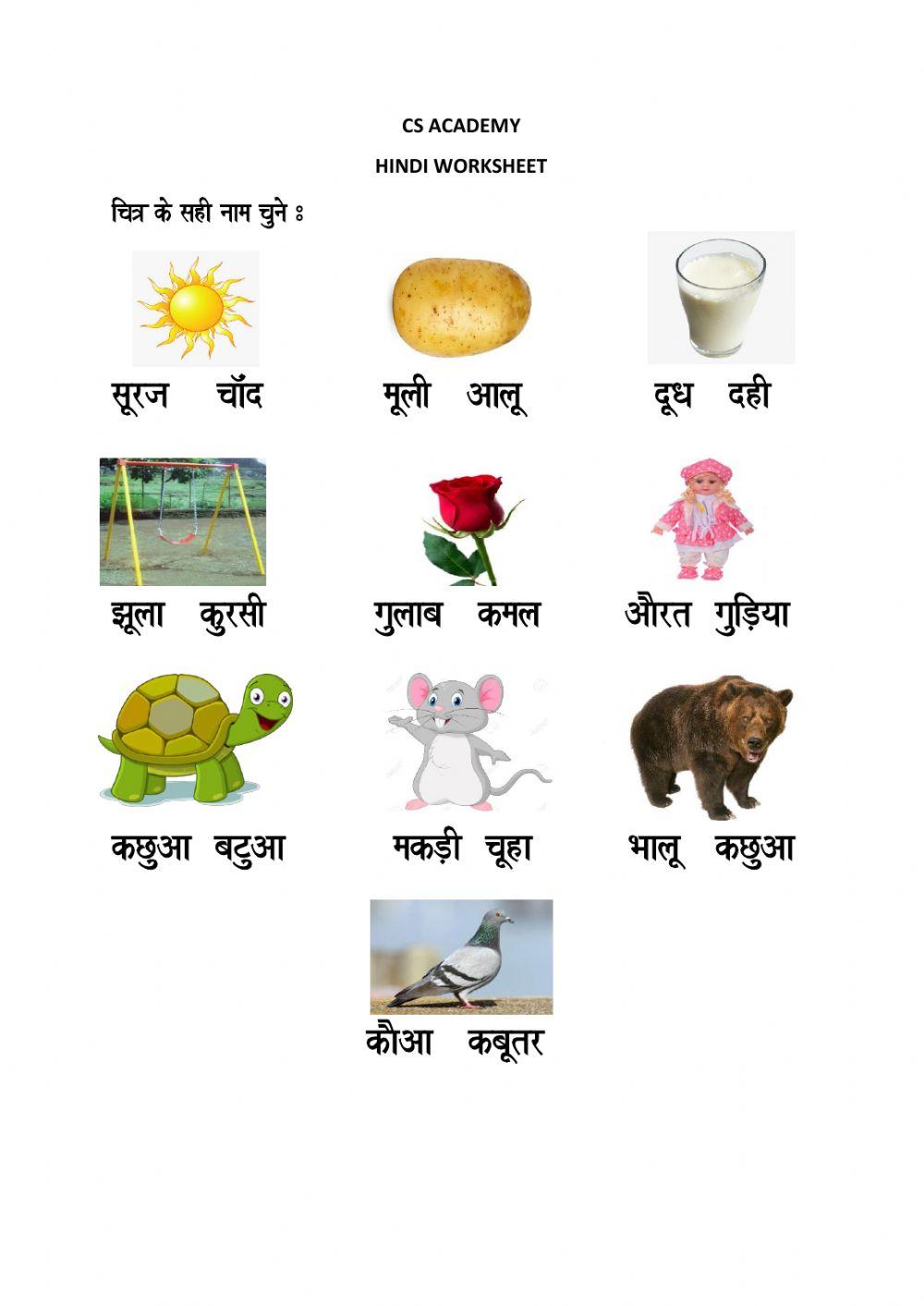 Choose the correct word from the given picture