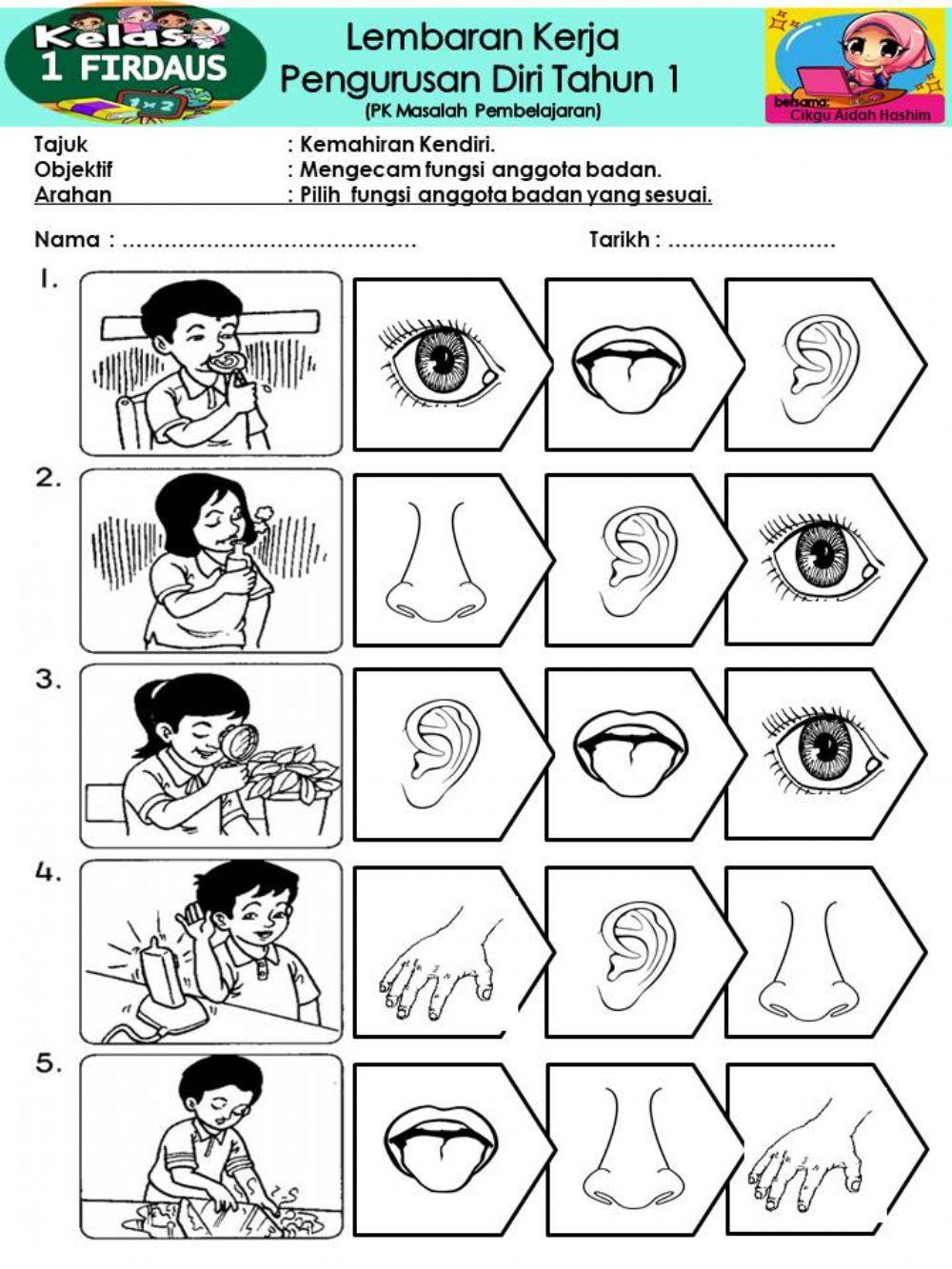 Fungsi anggota badan