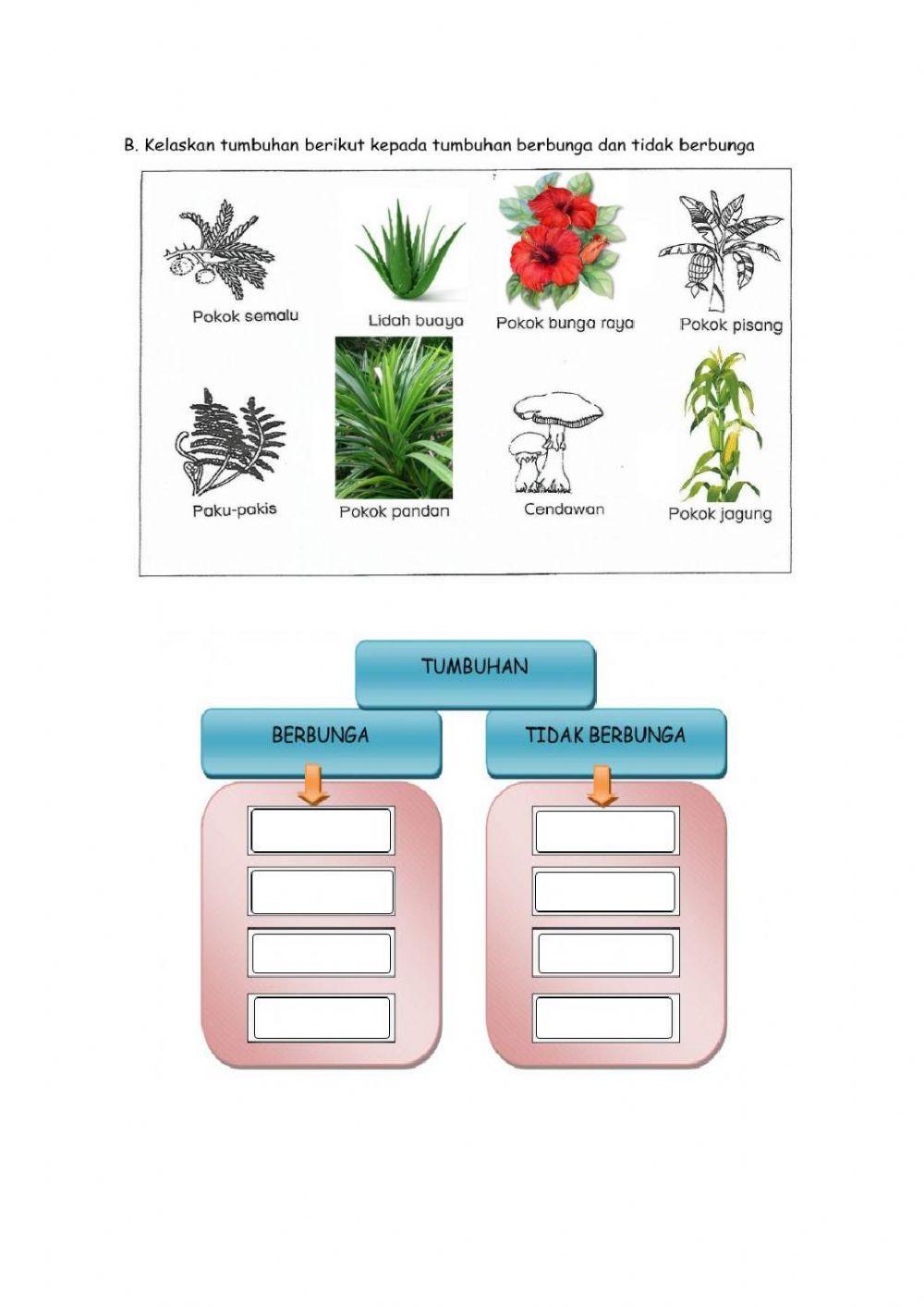 MENGELAS: Sains tahun 2